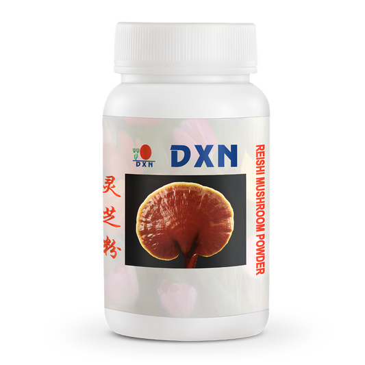 HF041 – Reishi Mushroom Powder x70g (Formato Grande)