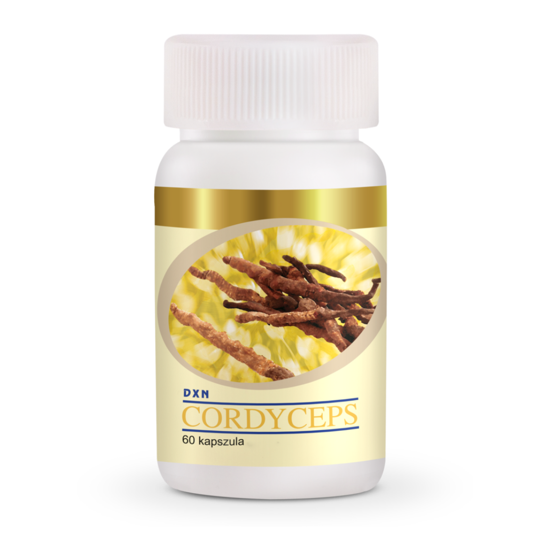 HF024 – Cordyceps x60 Cápsulas