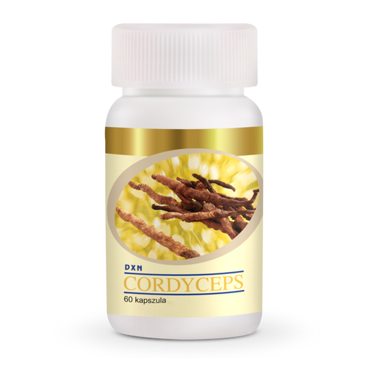 HF067 – Cordyceps Powder x30g (Polvo)